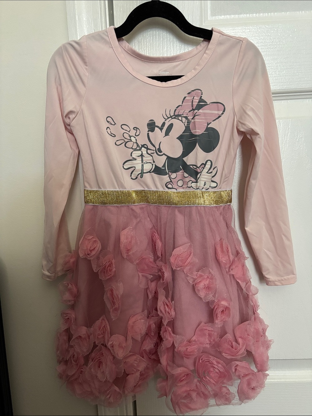 Disney Pink Minnie Mouse Rose Tulle Dress with Gold Band